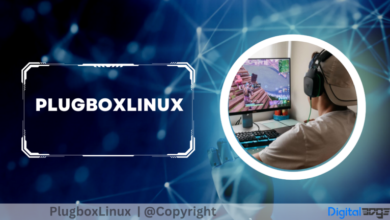 About PlugboxLinux